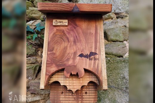 Nichoir Chauve-Souris - The Bat • 69.00€ • © AHM Créations