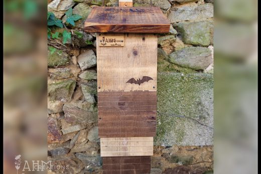 Nichoir Chauve-Souris - Escalier • 59.00€ • © AHM Créations